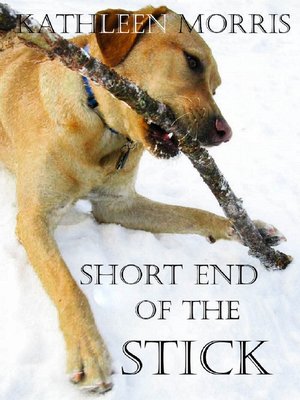 cover image of Short End of the Stick